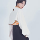 Asymmetric Puff Top